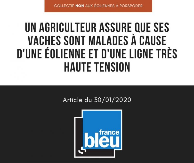 vaches malades eoliennes